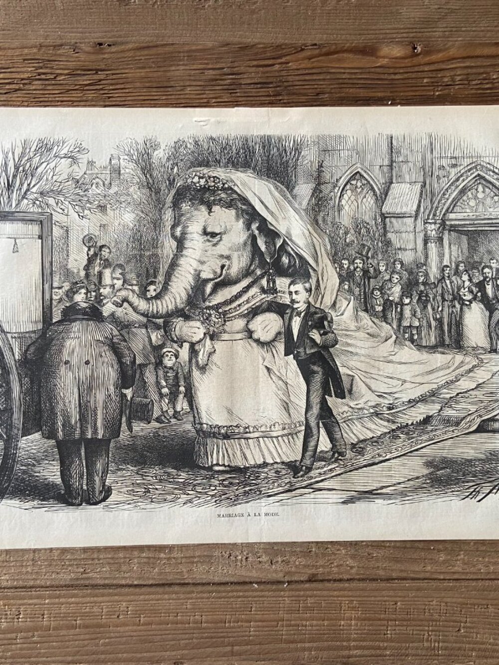 Thomas Nast, Harper's Bazar, Antique Print, Woodcut Engraving, Elephant